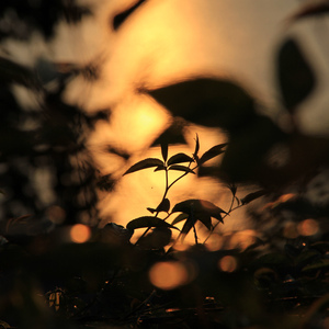 蹭蹭好爽⋯好紧⋯宝贝别夹bl
